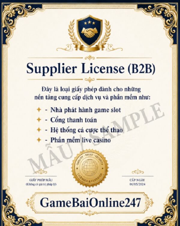 Supplier License (B2B) - Ảnh minh họa